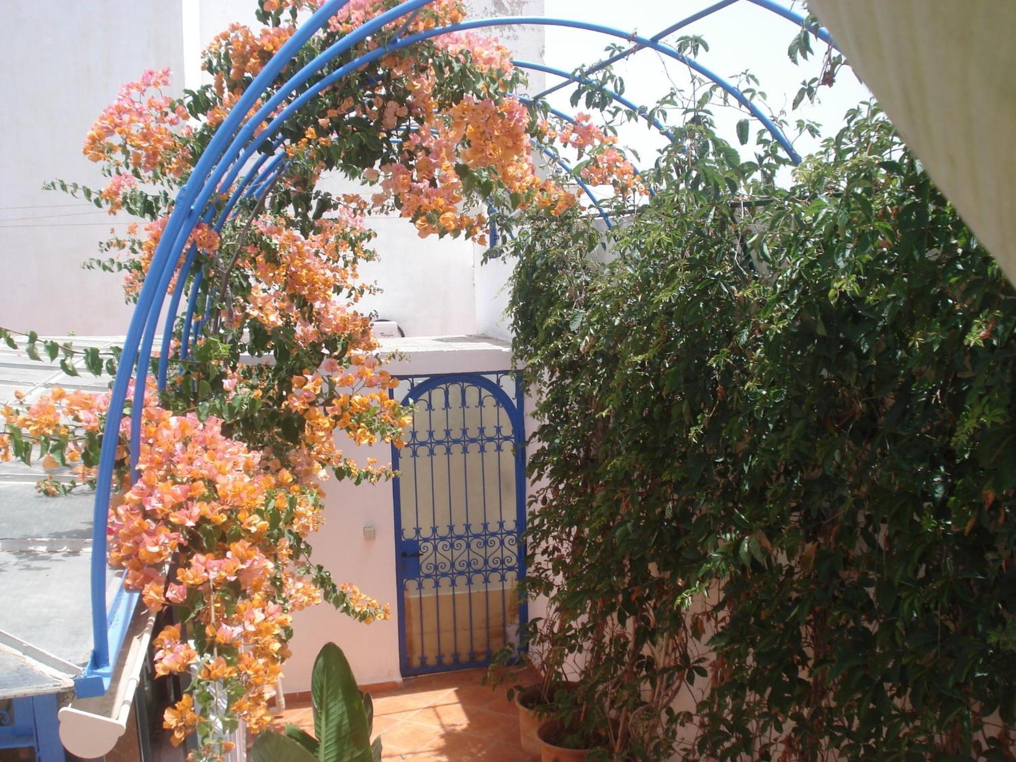 Riad Marlinea Salé Bagian luar foto